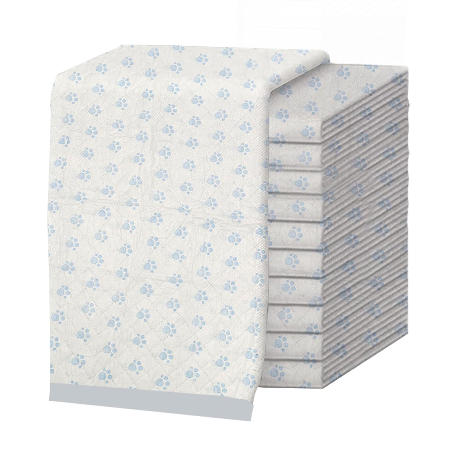 Dog Training Pads-10 Pieces
